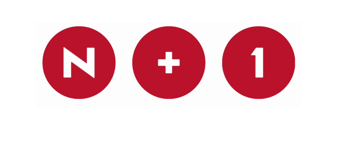 N+1 Institute logo